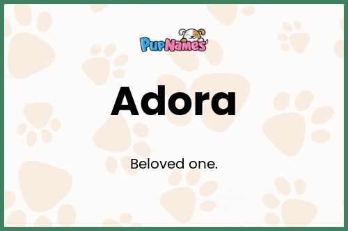 Adora dog name meaning