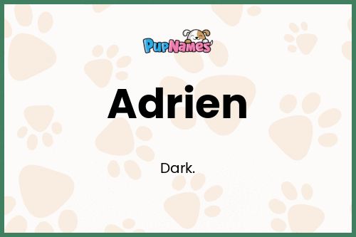 Adrien dog name meaning