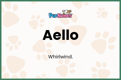 Aello dog name meaning