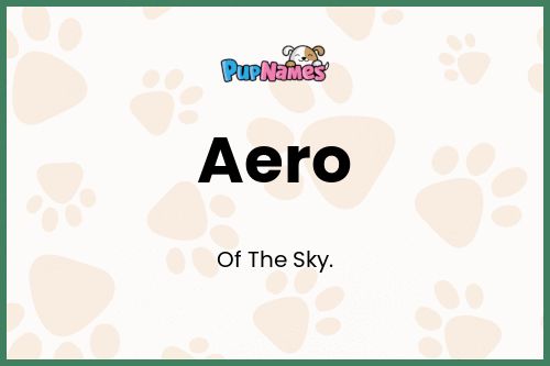 Aero dog name meaning