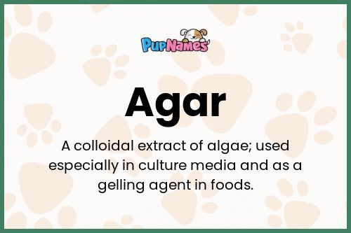 Agar dog name meaning