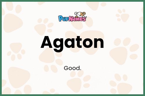 Agaton dog name meaning