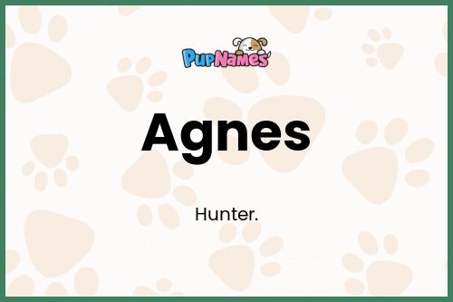 Agnes dog name meaning