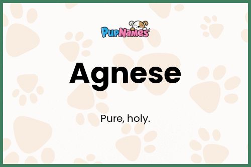 Agnese dog name meaning