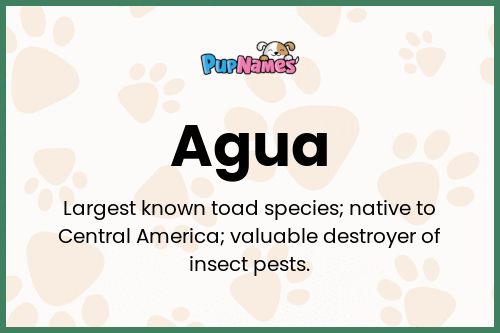 Agua dog name meaning