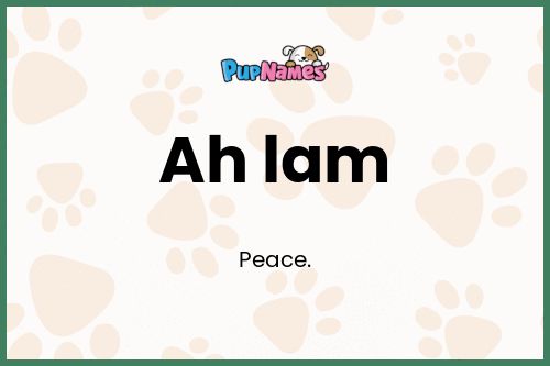 Ah lam dog name meaning