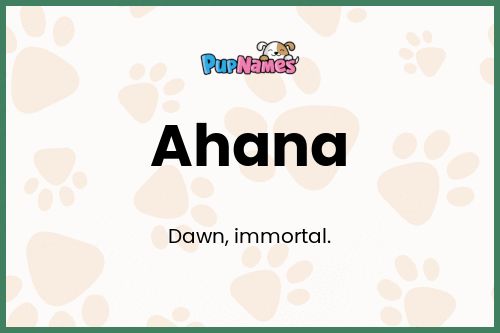 Ahana dog name meaning