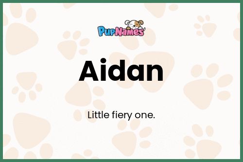 Aidan dog name meaning