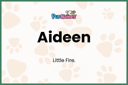 Aideen dog name meaning