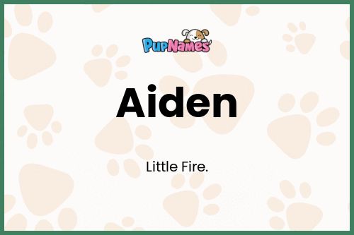 Aiden dog name meaning