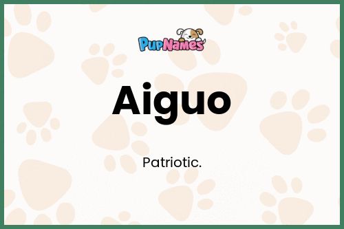 Aiguo dog name meaning