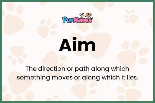 Aim dog name meaning