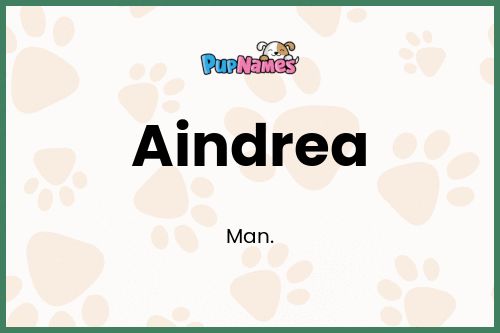 Aindrea dog name meaning