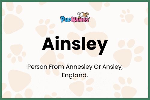 Ainsley dog name meaning