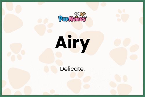 Airy dog name meaning