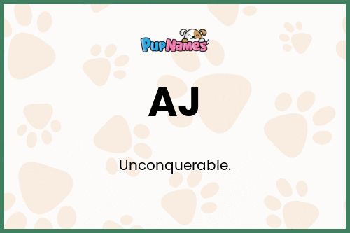 AJ dog name meaning