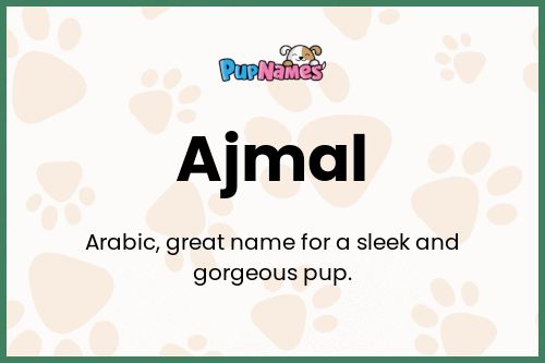 Ajmal dog name meaning