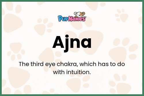 Ajna dog name meaning