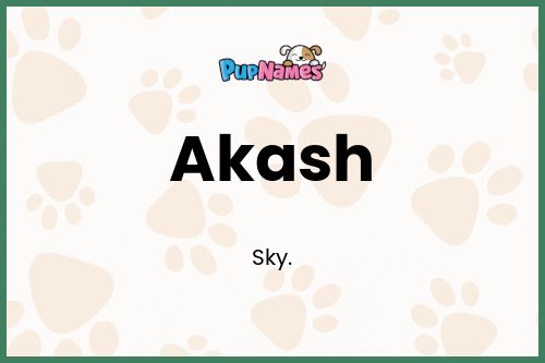 Akash dog name meaning