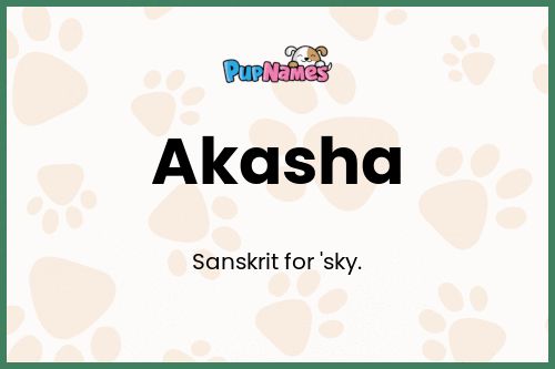 Akasha dog name meaning