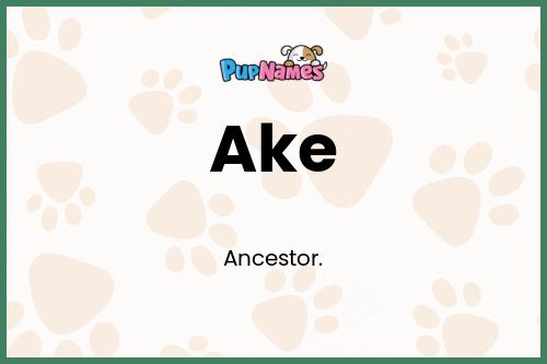 Ake dog name meaning