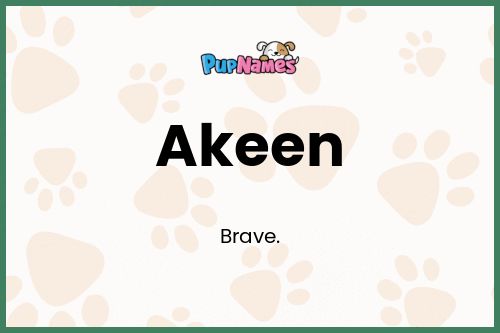 Akeen dog name meaning