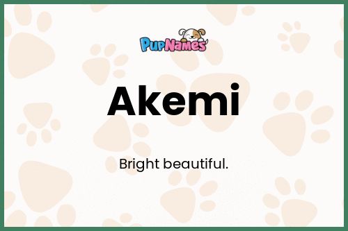 Akemi dog name meaning