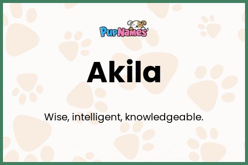 Akila dog name meaning