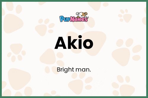 Akio dog name meaning