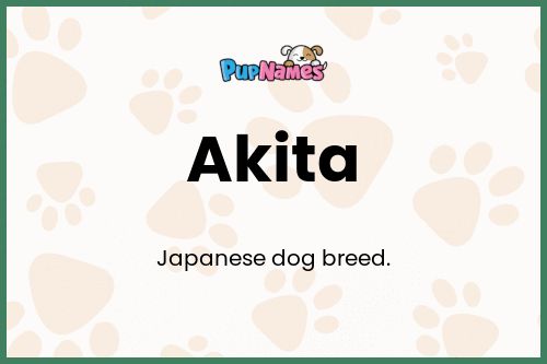 Akita dog name meaning