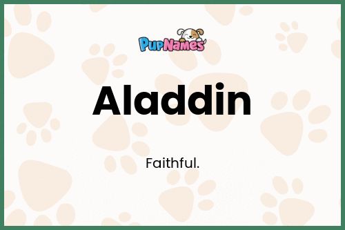 Aladdin dog name meaning