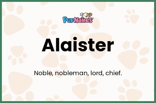 Alaister dog name meaning