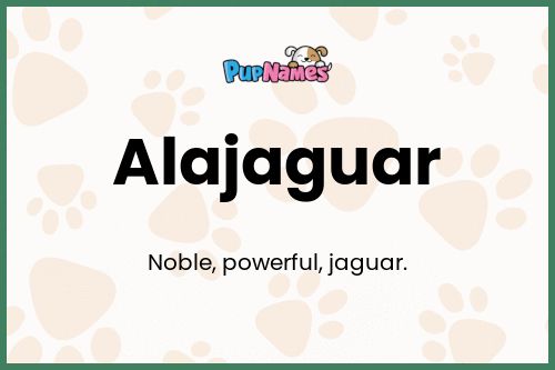 Alajaguar dog name meaning