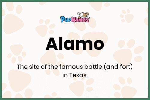 Alamo dog name meaning