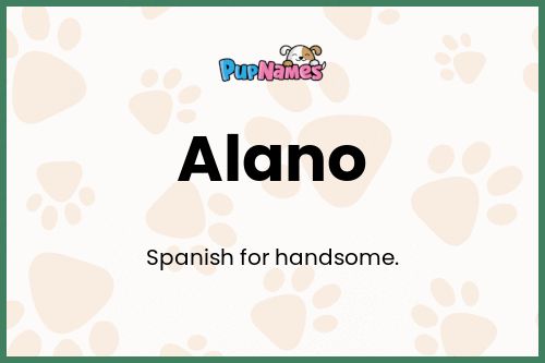 Alano dog name meaning