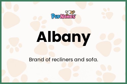 Albany dog name meaning