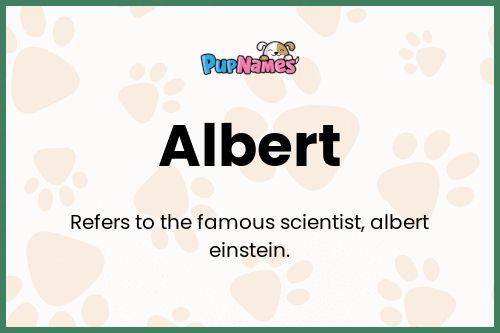 Albert dog name meaning