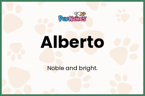 Alberto dog name meaning