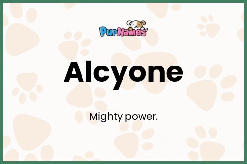 Alcyone dog name meaning