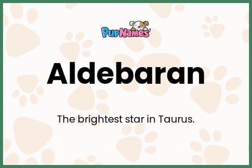 Aldebaran dog name meaning