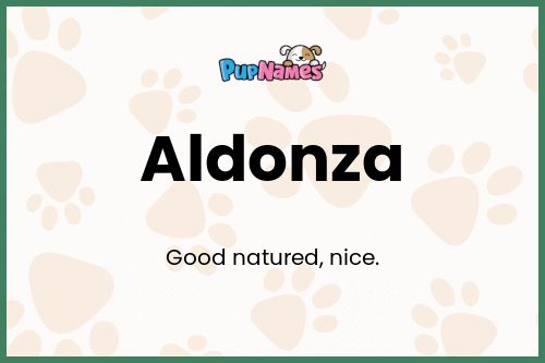 Aldonza dog name meaning
