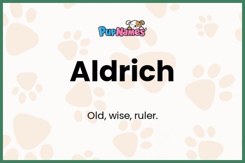 Aldrich dog name meaning