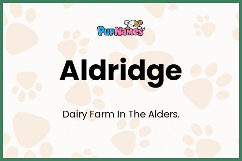 Aldridge dog name meaning