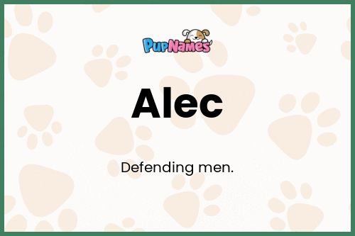 Alec dog name meaning