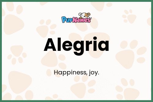 Alegria dog name meaning