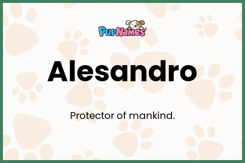 Alesandro dog name meaning