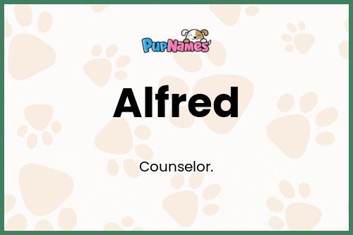 Alfred dog name meaning