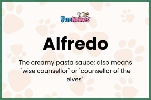 Alfredo dog name meaning