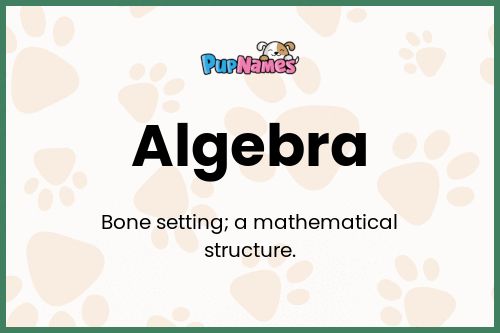 Algebra dog name meaning