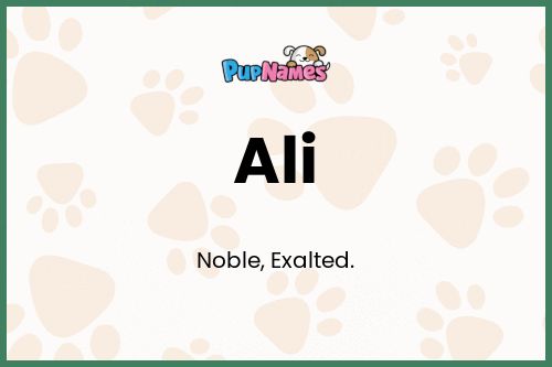 Ali dog name meaning